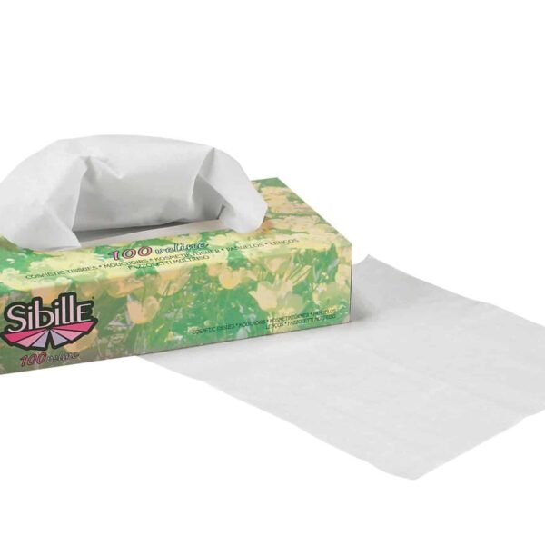 MOUCHOIR PAPIER 2 PLIS  (BOITE 100)