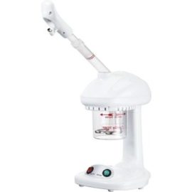 VAPEUR OZONE ITINERANT