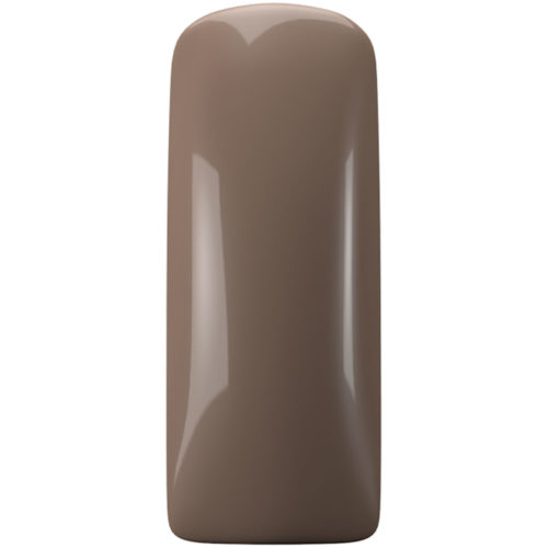 GEL POLISH MAGNETIC 15ml  POWDER BROWN