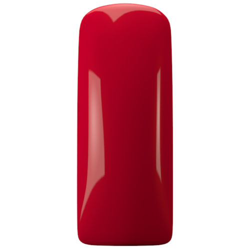 GEL POLISH MAGNETIC 15ml  MEY'S CHOICE 2019