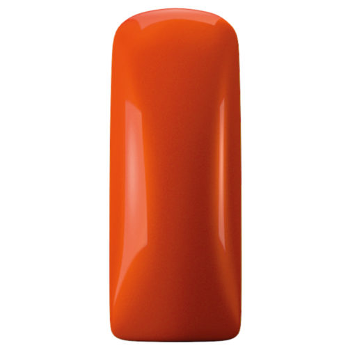 GEL POLISH MAGNETIC 15ml  BURNING ORANGE