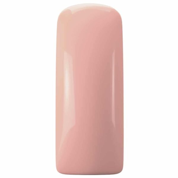 GEL POLISH MAGNETIC 15ml  DELICATE ORCHIDEE