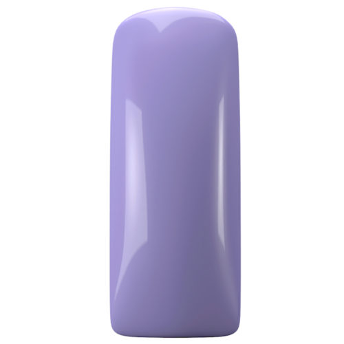 GEL POLISH MAGNETIC 15ml  BLACKBERRY - Image 2