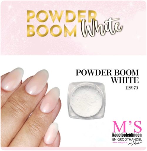 POUDRE BLANCHE BOOM MAGNETIC NAIL - Image 2