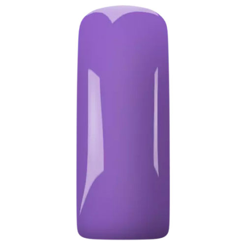 GEL POLISH MAGNETIC 15ml  POW PURPLE - Image 4